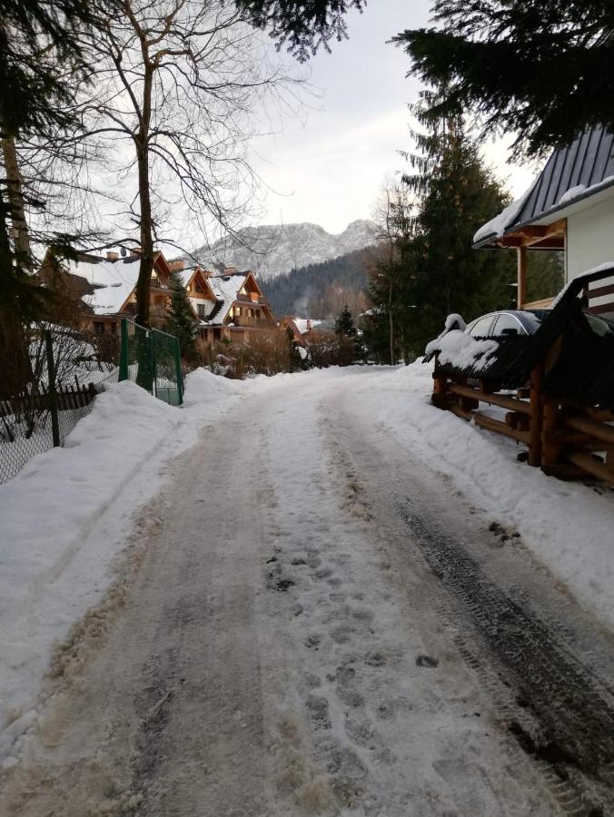 Apartamenty Villa Ski-Bowki Zakopane Ngoại thất bức ảnh